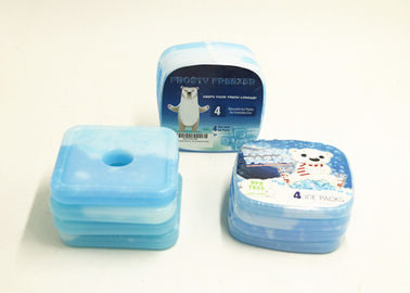 Açık Taze Soğutucu İnce Öğle Buz Paketleri Taşınabilir Soğutucu Çanta Gıda Taze Tutmak