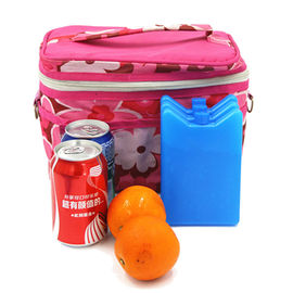 Öğle Yemeği Kutuları, Piknikler ve Daha Fazlası İçin Yiyecek ve İçecek Soğutma İçin Mini Buz Aküleri Kamp, Balık Tutma ve Daha Fazlası İçin Çok Amaçlı Taşınabilir ve Yeniden Kullanılabilir